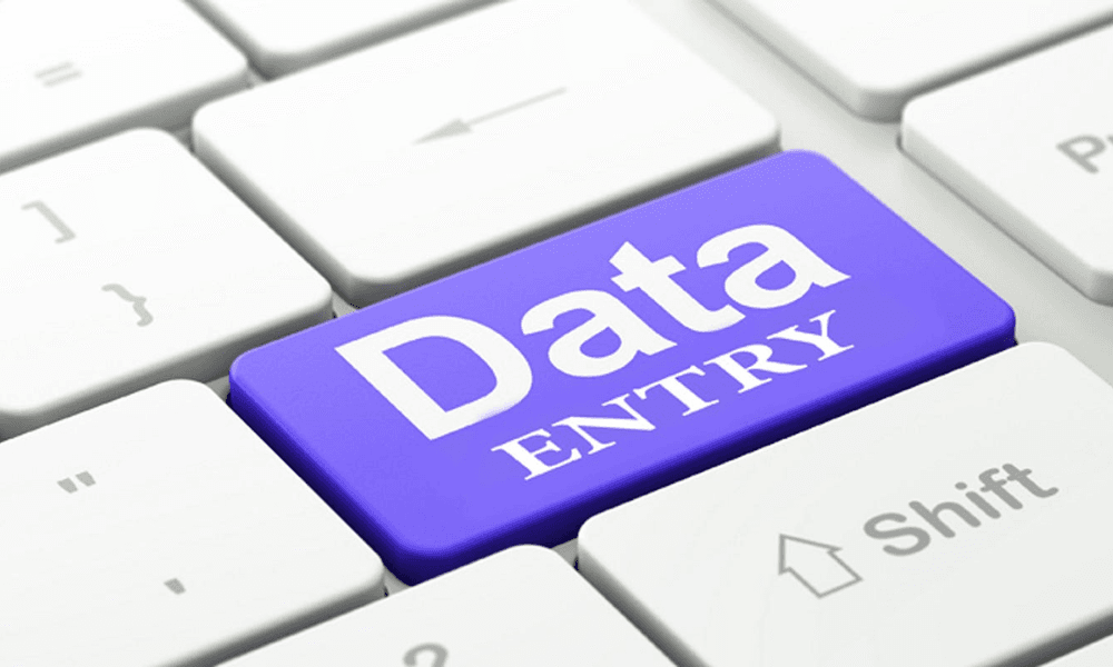 What is healthcare data entry and analysis